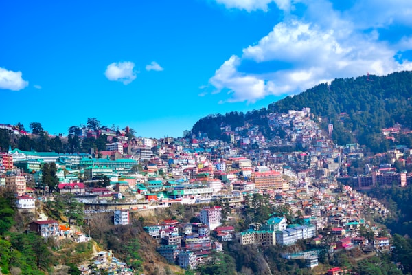 Shimla Explorer